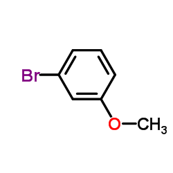 间溴苯甲醚|2398-37-0|m-Bromoanisole